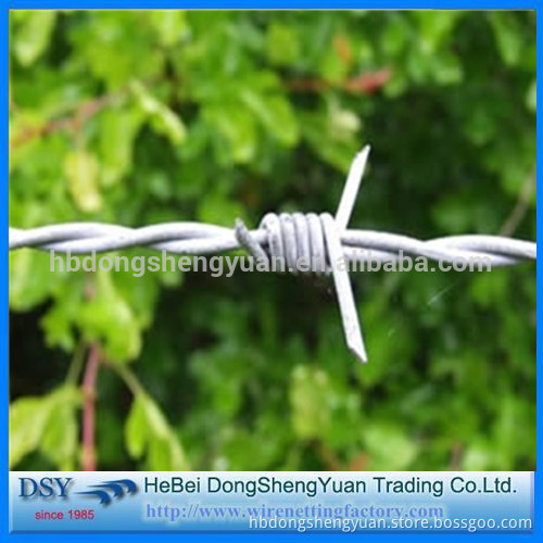 safety products galvanized concertina barbed wire/wall top barbed wire for protection/hot dipped galvanzied double barbed wire